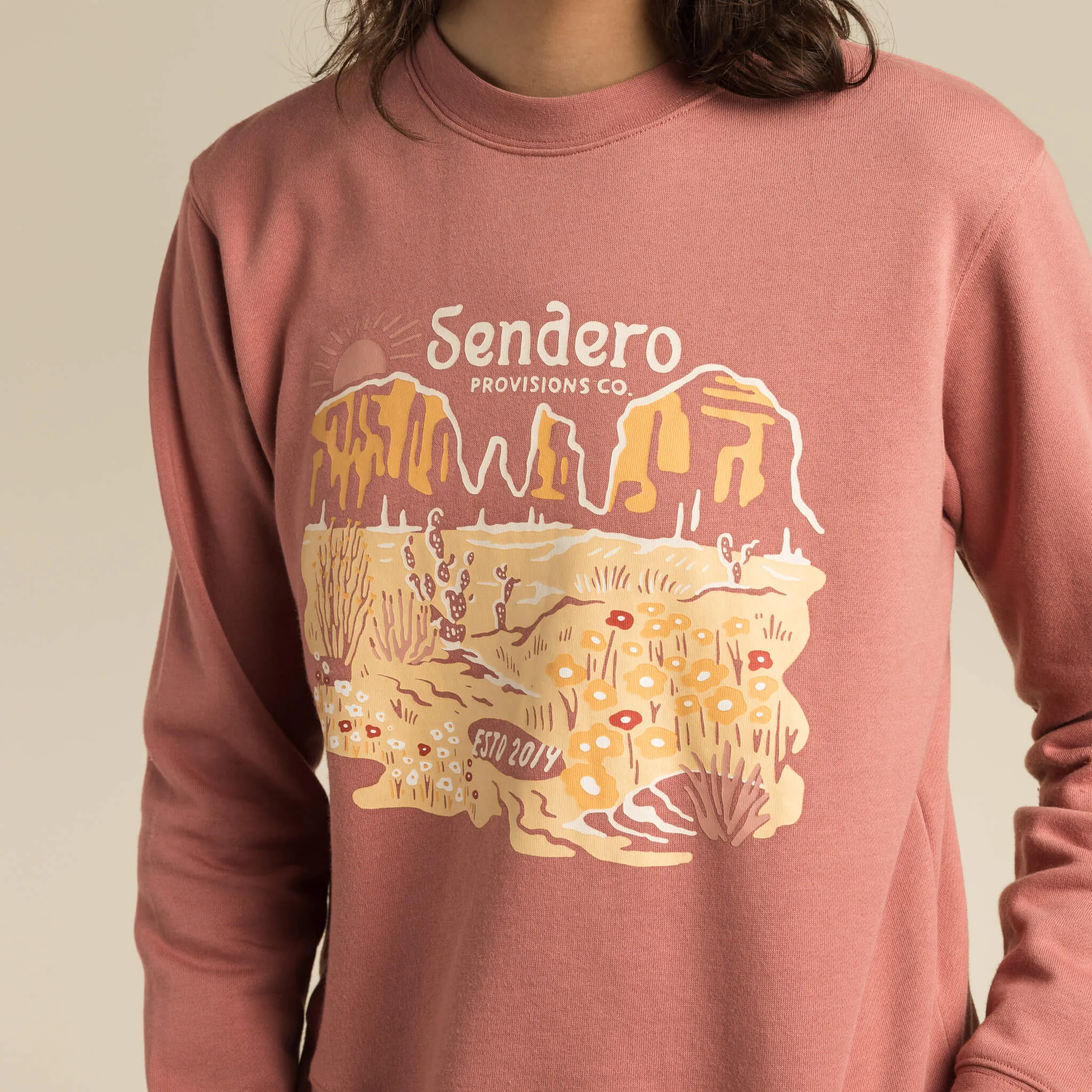 Desert Bloom Drop Shoulder Sweatshirt