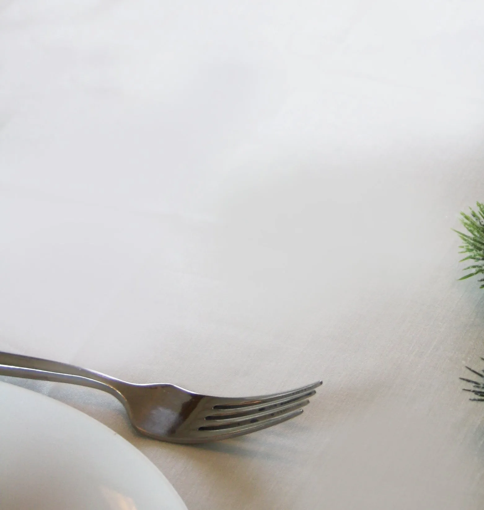 Double Damask Smooth Irish Linen Napkin